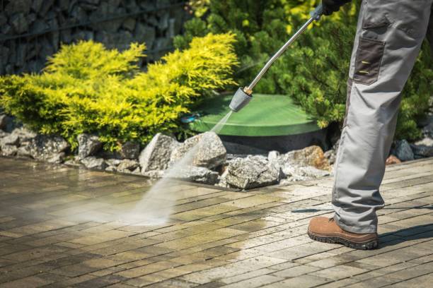 Pre-Holiday Cleaning in Town Line, NY