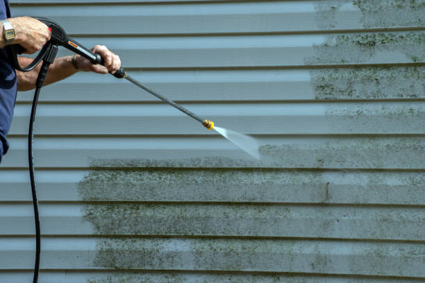 Best Gutter Cleaning  in Town Line, NY
